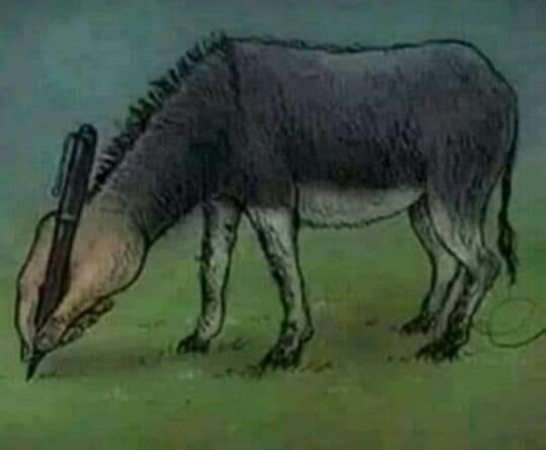 لا تحرِّفوا لغة الضاد .. كثير من الجنوبيين يدوسون لغة "القرءآن الكريم"