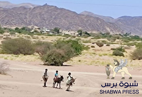 إخوان المسلمين يعيدون شبوة إلى زمن ركوب الحمير