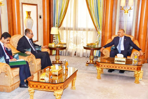 لدى استقباله السفير المصري، الرئيس الزبيدي يشدد على اهمية تكامل الأدوار في مكافحة الإرهاب وتأمين الملاحة الدولية