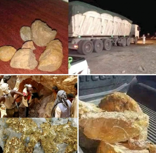 المجاعة تهدد حياة أبناء حضرموت وأكثر من 114طن من ذهب وادي مدن تنهبه هوامير صنعاء سنويا