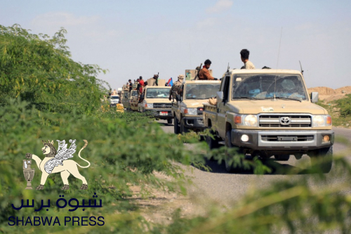 #شبوه: مديرية مرخة السفلى نجاحات أمنية غير مسبوقة