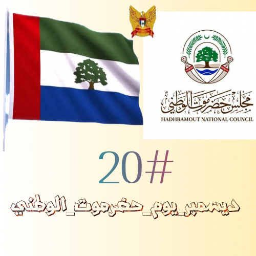 في وادي حضرموت "مشروع لقيط" ليس له جذور ولا حاضنة شعبية