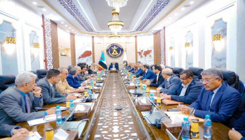  هيئة الرئاسة: التصعيد الحوثي في البحر الأحمر وباب المندب يهدد جهود إحلال السلام