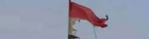 العلم والرياضة اليمنية: إلى مزبلة التاريخ لكل من لا يحترم دماء الشهداء