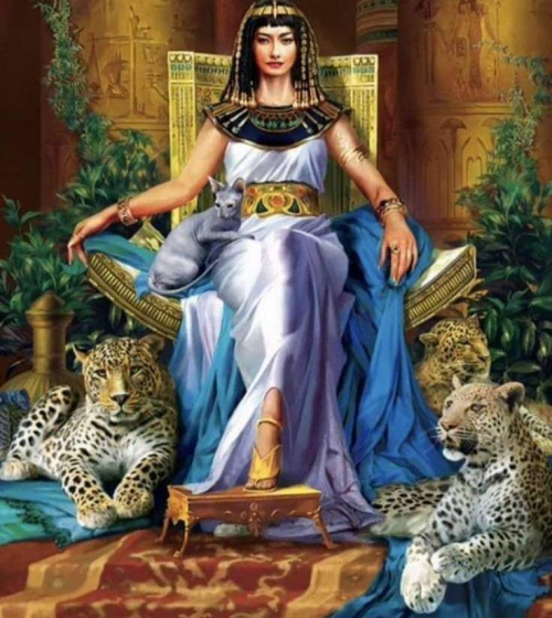 المصريون لا يزوجون بناتهم للأجانب وان كانوا ملوكا.. فقط يزوجون الأنبياء