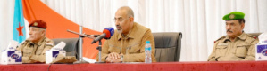 فيتو جنوبي على خارطة غروندبرغ للسلام في اليمن