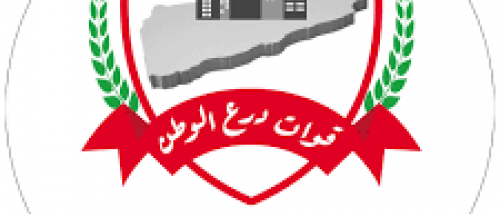 الشميري: تسليم حضرموت والمهرة لدرع الوطن يعيد الجنوب إلى المربع الأول