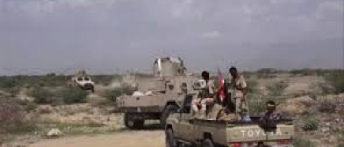 الشميري: ورقة القاعدة في أبين مكشوفة.. قاتلوا بصفتكم الرسمية يا جبناء