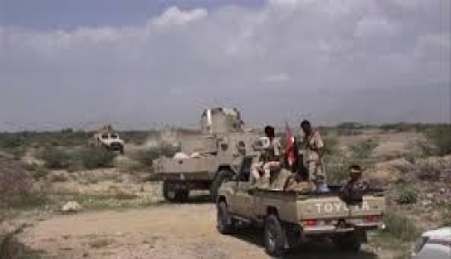 الشميري: ورقة القاعدة في أبين مكشوفة.. قاتلوا بصفتكم الرسمية يا جبناء