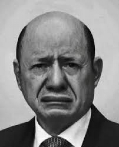 العليمي سينقل الرئاسة إلى المخا والحكومة إلى مأرب.. وتجميع قوات دولية للزحف على عدن