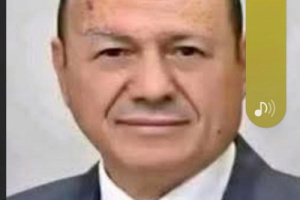 العليمي سينقل الرئاسة إلى المخا والحكومة إلى مأرب.. وتجميع قوات دولية للزحف على عدن