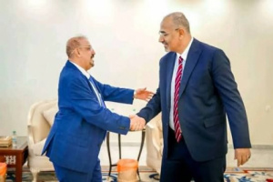 زيارة البركاني: بعد تحرير حضرموت العليمي يفاوض على البقاء في المشهد لا على صنع القرار