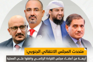 طارق صالح وافق والعليمي لم يعترض.. أغلبية المجلس الرئاسي تؤيد تحرك حضرموت والمهرة