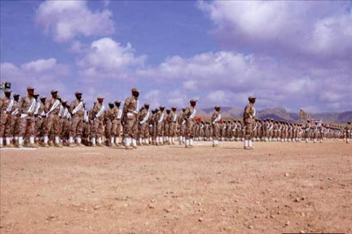 عاجل: حضرموت ترفع راية الحسم وتدشن الدفعة الـ 19 من النخبة الحضرمية رسالة قوة تطمئن الجنوب وتُربك أعداءه