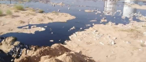 حضرموت تكسر ظهر اقتصاد الإعاشة: يصرخ لصوص الوحدة حين يقترب الجنوب من نفطه