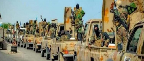 لسنا بنادق للإيجار.. كاتب جنوبي يؤكد الشراكة مع التحالف ويحذر من استهداف قضية الجنوب