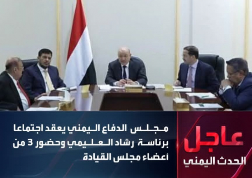 العليمي يفقد النصاب السياسي ويغرق مجلس القيادة في فراغ قاتل