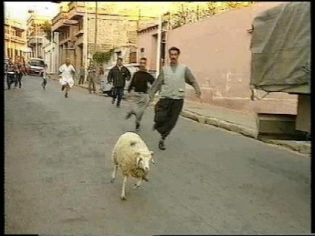 رجل ينتحر صعقا بالكهرباء بعد عجزه عن شراء كبش العيد