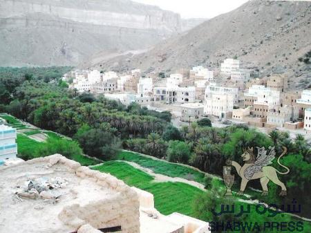 السلطات اليمنية مسئولة بالكامل عن تدمير غابات حضرموت من النخيل بآفة الدوباس : تأكيدات خبراء وفلاحين