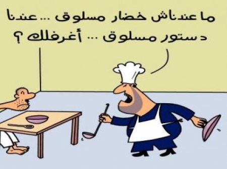 تأسيس حركة  اللادستوريين والتى تناهض الدستور المصرى الجديد صبيحة الإستفتاء عليه