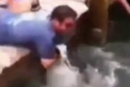 في لحظات أشبه بالمصارعة الحرة.. سمكة تصطاد رجلاً مد يده إلى المياه فصعدت السمكة الكبيرة لتعض يده وتحاول جذبه