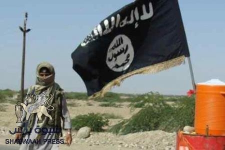 مصرع 10 ارهابيين من أعضاء تنظيم القاعدة في محافظة البيضاء