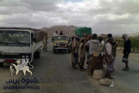 الشرق الاوسط : ضربة استباقية ضد أنصار الشريعة في أبين وهدوء في الجبهات بالبيضاء