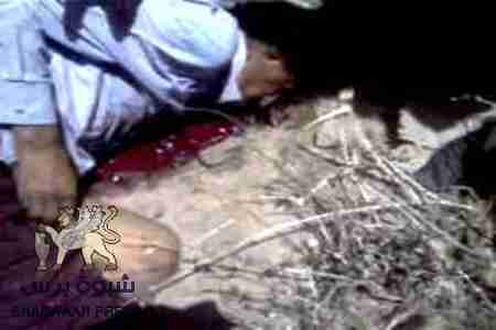 عاجل من الضالع: استشهاد الناشط &lsquo;&lsquo;عبدالله السروري&lsquo;&lsquo; برصاص حراسة مبنى المحافظة