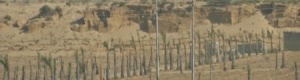 بدو سيناء.. وشرايين الأنفاق