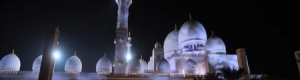 66 مليون دولار تمويل إماراتي للأزهر