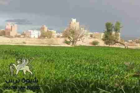 أحد أبناء وصاب يقتل قريبه ويصيب آخر في سوق الجولات بمدينة عتق - شبوة