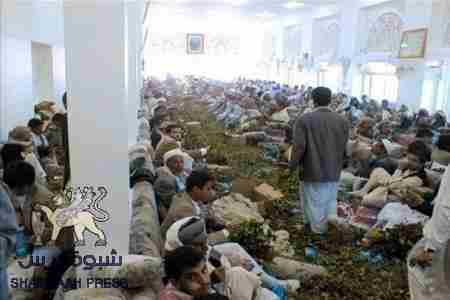 مجالس القات في اليمن : ما بين الثقافة والسياسة والقات