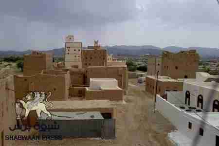 قتيل وجريحين في سوق القات بجول الخضراء مديرية حبان - شبوة