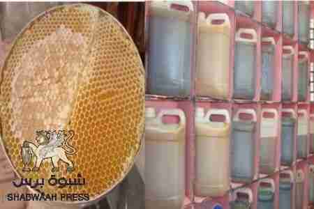 النحالون في شبوة وحضرموت وعدن ولحج يتلقون دورة تدريبية في عدن