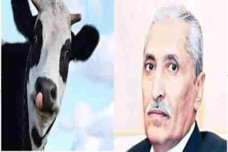 بقرتان .. ثمنّا لـ  ثلاثة جنود في وزارة الداخلية اليمنية !!