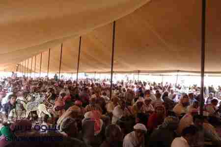 قبائل الحموم توجه نداء الى قبائل حضرموت لاجتماع عاجل لمواجهة الأوضاع المتفجرة في غيل بن يمين