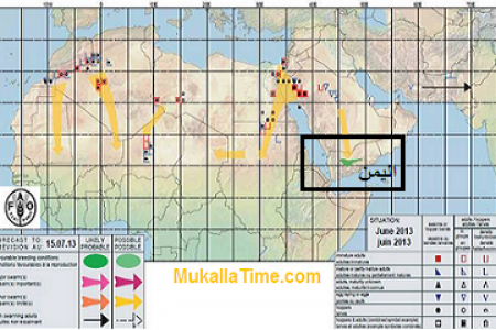 جراد الربع الخالي قادم الى حضرموت وشبوة ومأرب خلال يونيو الجاري