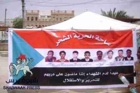 خاص لـ شبوة برس - الشحر تحيي المهرجان الاول لذكرى شهداء المدينة الـ 8