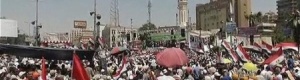تأييد واسع لدعوة السيسي للاحتشاد
