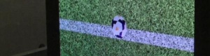 تكنولوجيا المرمى تصل الملاعب الإنجليزية