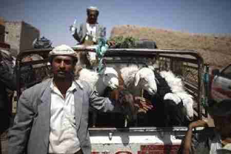 ارتفاع الاسعار أمام تواضع الدخول يحرم معظم اليمنيين من أداء شعيرة دينية تعودوا عليها.