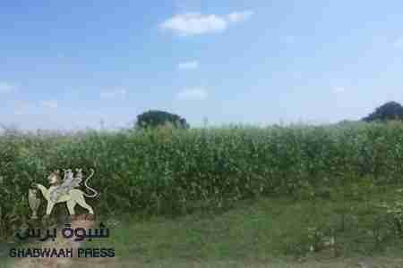 قيادة المنطقة العسكرية الرابعة يلتقون مجلس ابناء يافع بعدن بخصوص مزرعة جعولة