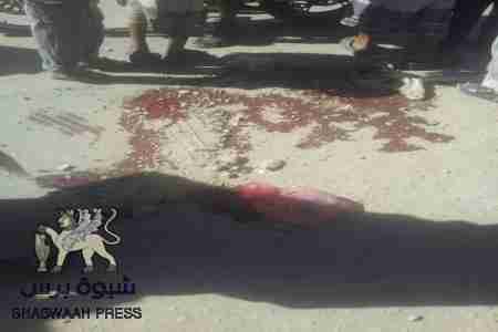 خمسة قتلى في قتال قبلي بشبوة