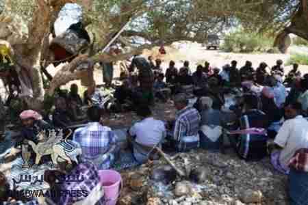 الثلاثاء 10 ديسمبر 2013م اليوم الفيصل في تاريخ حضرموت