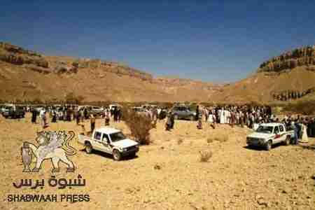 بلفقيه : السياسيون منذ البداية يستثمرون الجهد القبلي لتلميع انفسهم