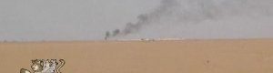 إنتاج شبوه وحضرموت نصف مليار برميل في سنوات, وإحراق نصف إحتياطي غاز حضرموت .