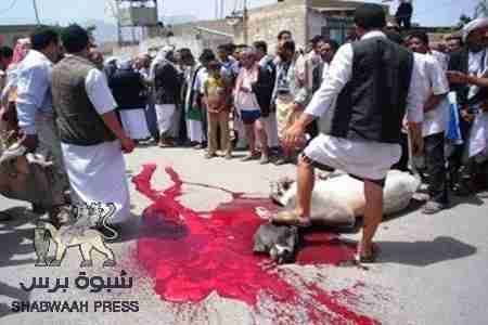 جنرالآت المعسكرات .. في صنعاء تعدّل بالبندقية.. وفي الجنوب تفتك بوحشية