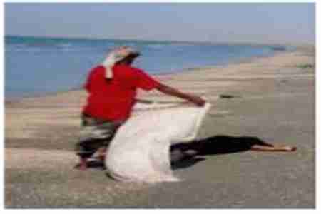 مقتل أحد أبناء قبيلة لقموش في عدن على يد أحد أبناء قبيلته