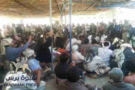 بيان قبائل شبوه : الصلح لمدة عامل وإمهال الشماليين 4 أيام لمغادرة شبوه