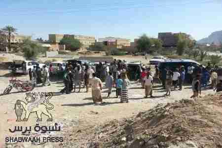 أنصار الاصلاح ومدير عام القطن يسمحون بسوق حرة لبيع القات في القطن